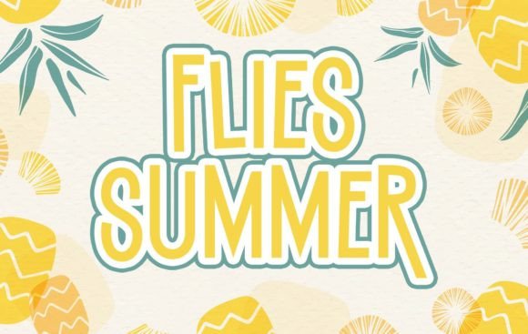 Flies Summer: A Display Font That Lifts Campaign Visuals